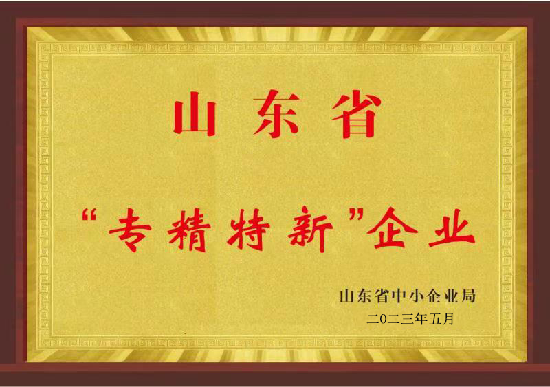專精特新企業(yè).png